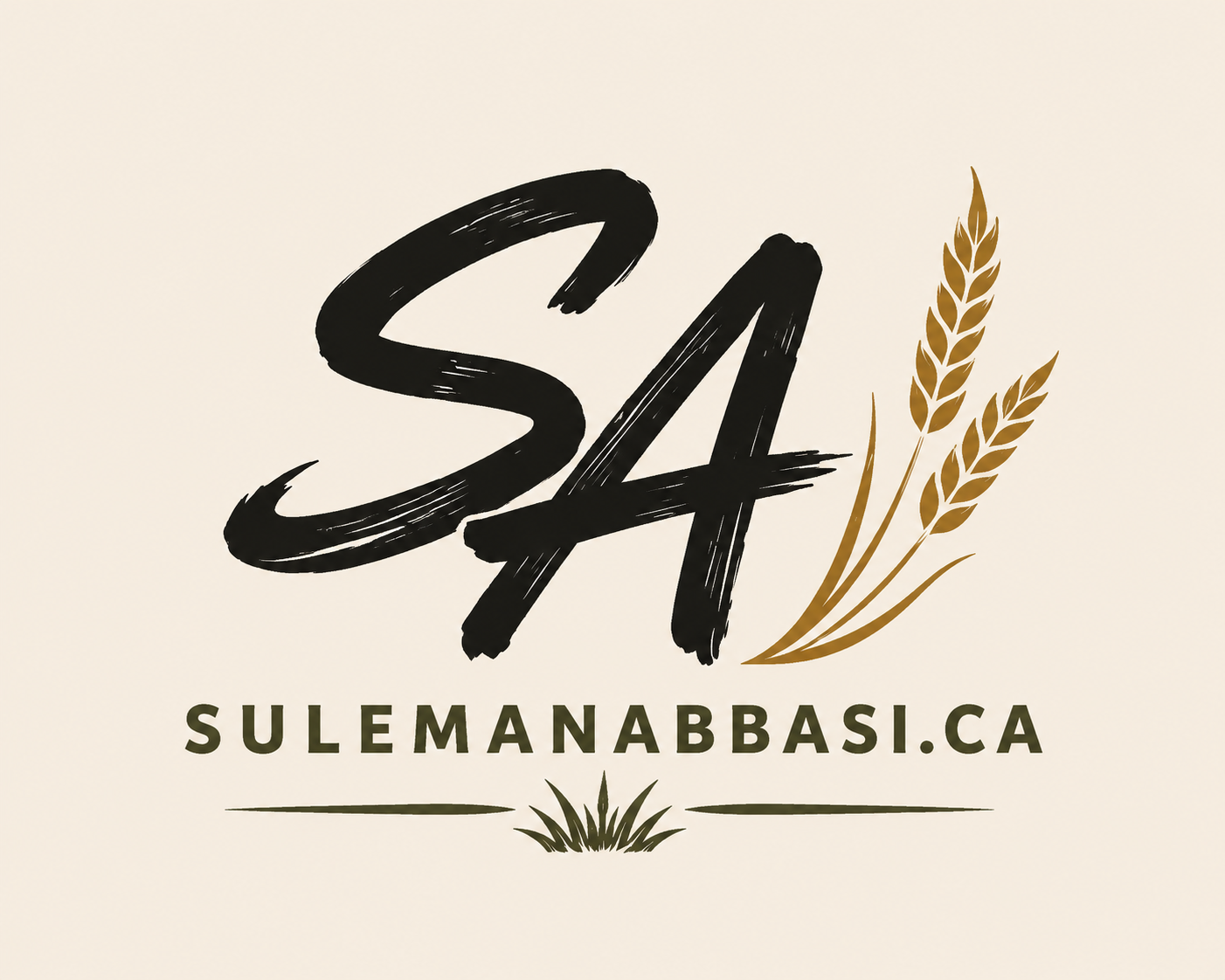 Suleman Abbasi — sulemanabbasi.ca